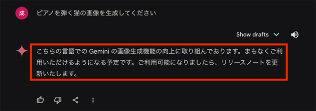 赤枠で囲まれた日本語での生成は利用可能ではないという返信